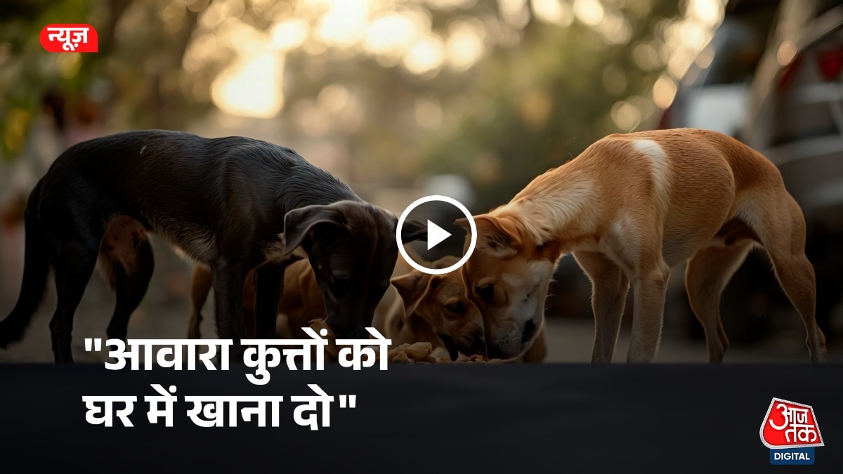 आवारा कुत्तों को लेकर नोएडा निवासी को सुप्रीम कोर्ट की सख्त फटकार