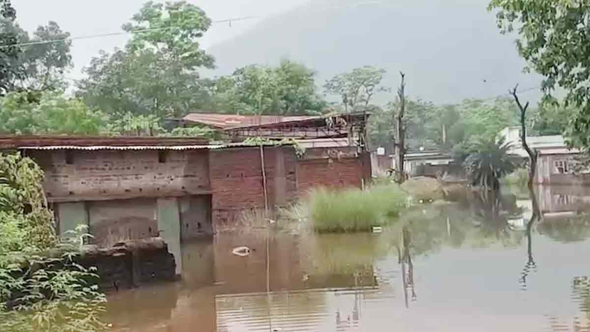  Death due to waterlogging