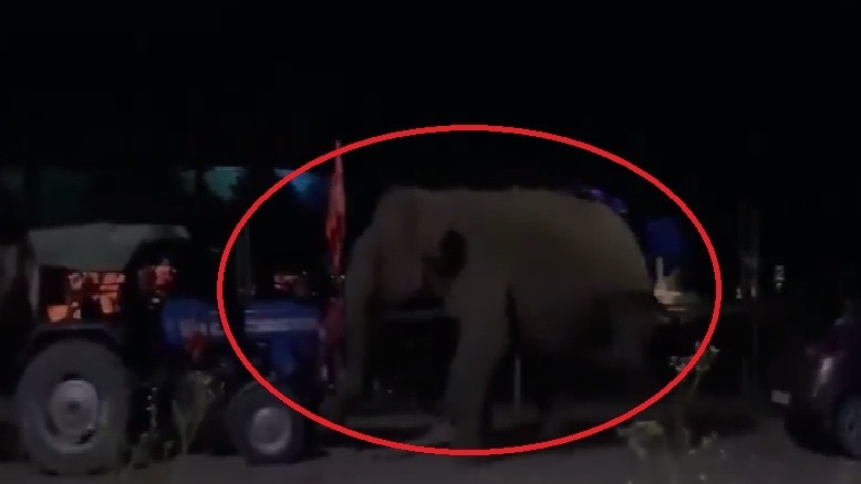 कांवड़ियों के भंडारे में घुसा हाथी, मचाया उत्पात, शिवभक्तों में मची भगदड़- video