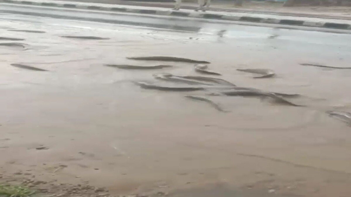 Rajasthan Weather update