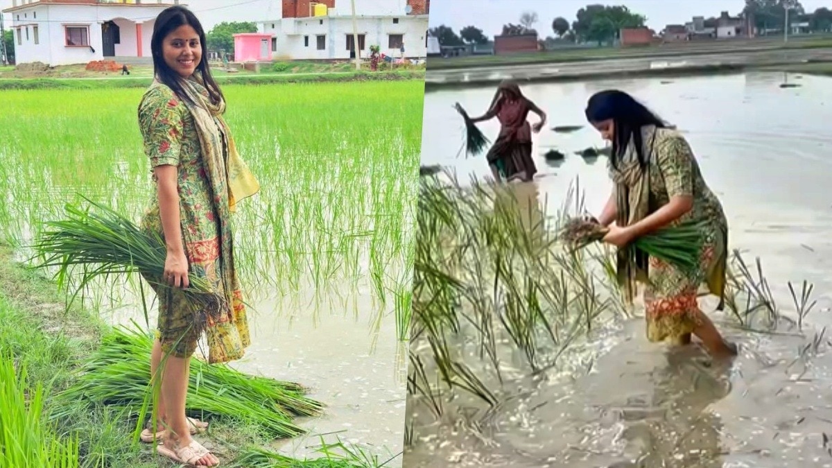 MP Priya Saroj planting paddy (Photo- @PriyaSarojMP/X)