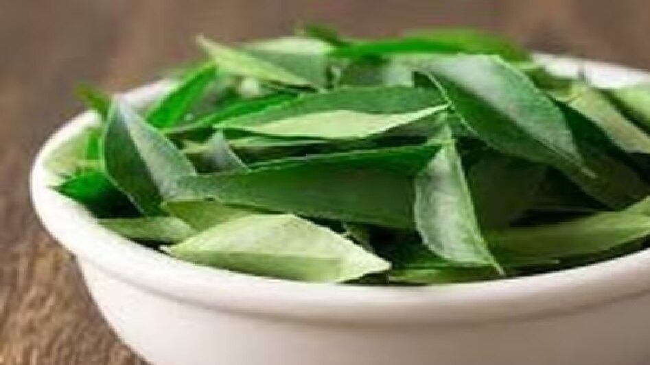 करी पत्ता