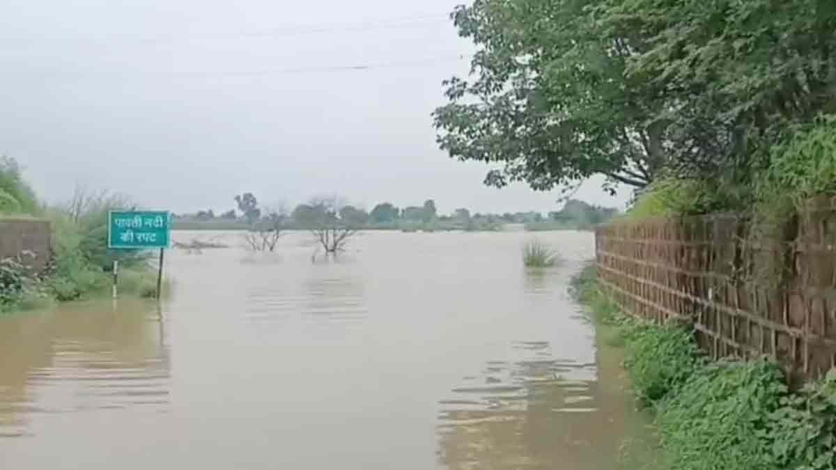 पार्वती नदी उफान पर (Photo: Screengrab)