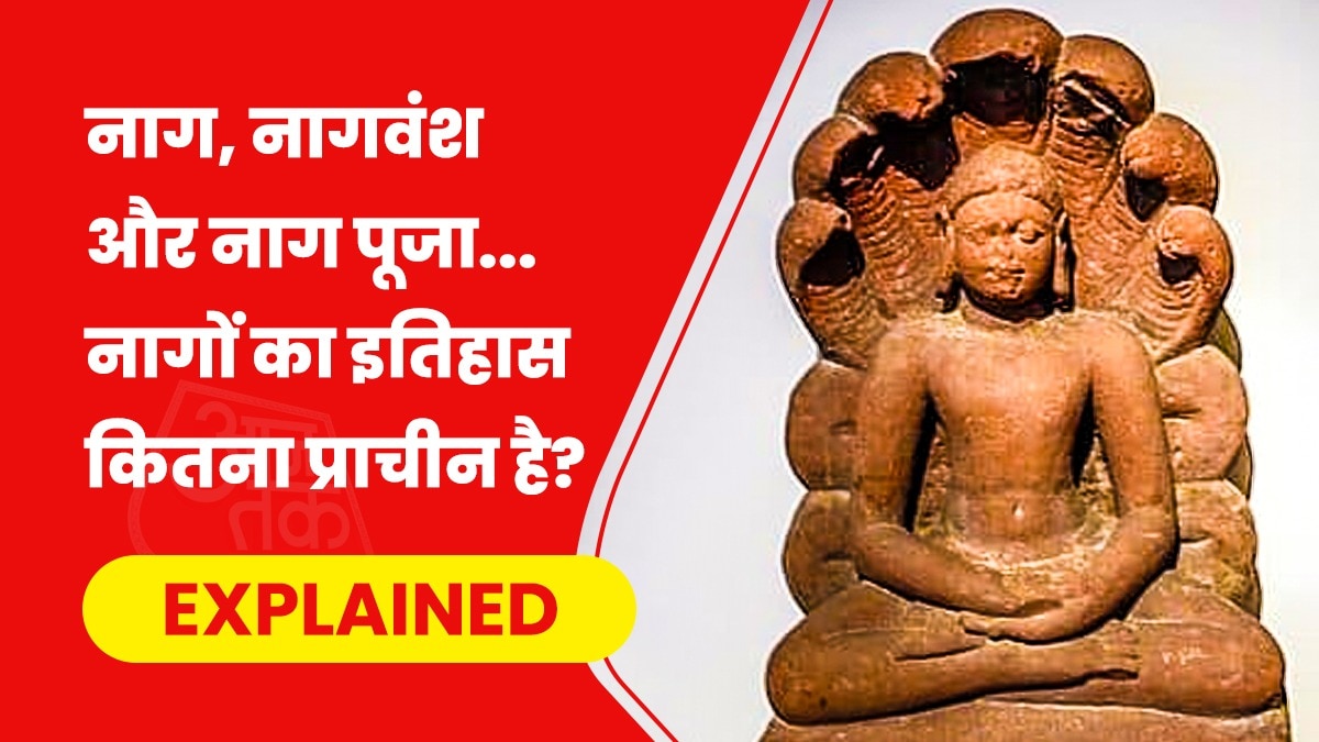 Nag Panchami Nag Pooja and History