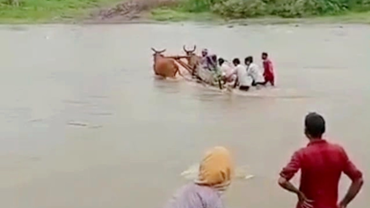 बैलगाड़ी से गर्भवती को नदी पार कराते परिजन.