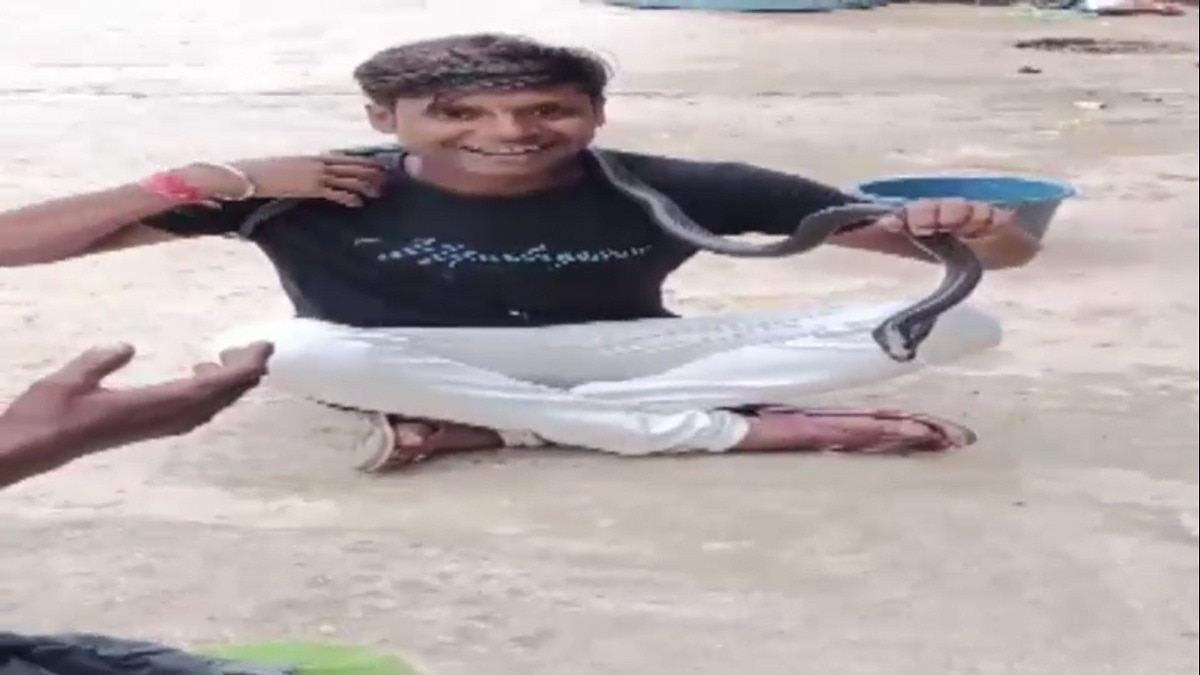 डसते ही युवक की हालत बिगड़ने लगी- (Photo: Screengrab)