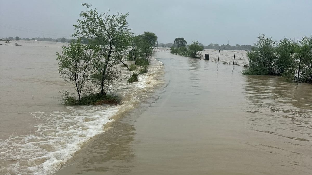 कोलारस-अशोक नगर रोड के ऊपर बहता सिंध नदी का पानी.