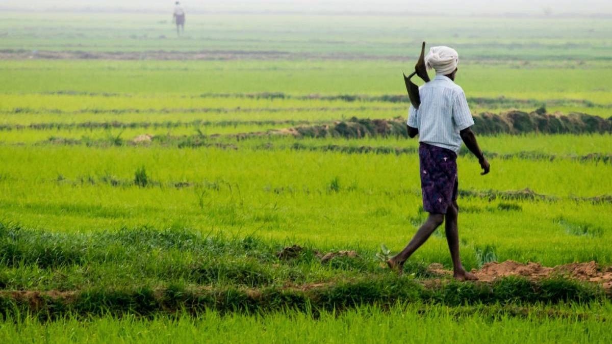 farmer suicide Mahrashtra 