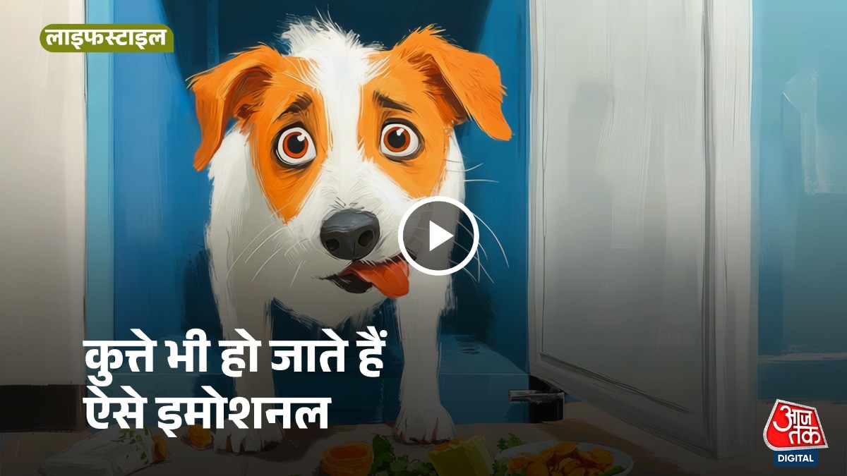 कुत्ते इंसानों के स्ट्रेस की पहचान कर लेते हैं.