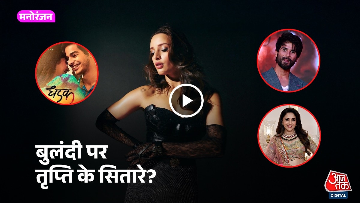 तृप्ति डिमरी की आने वाली फिल्में 