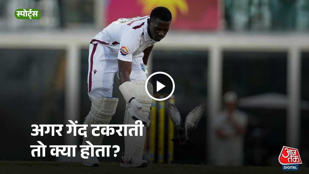 ओवल में भारत-इंग्लैंड मैच के दौरान मैदान पर कई बार कबूतरों का झुंड नजर आया