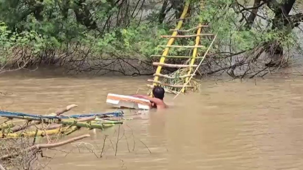 सीढ़ी बनाकर बंदरों का किया रेस्क्यू. (Photo: Screengrab)