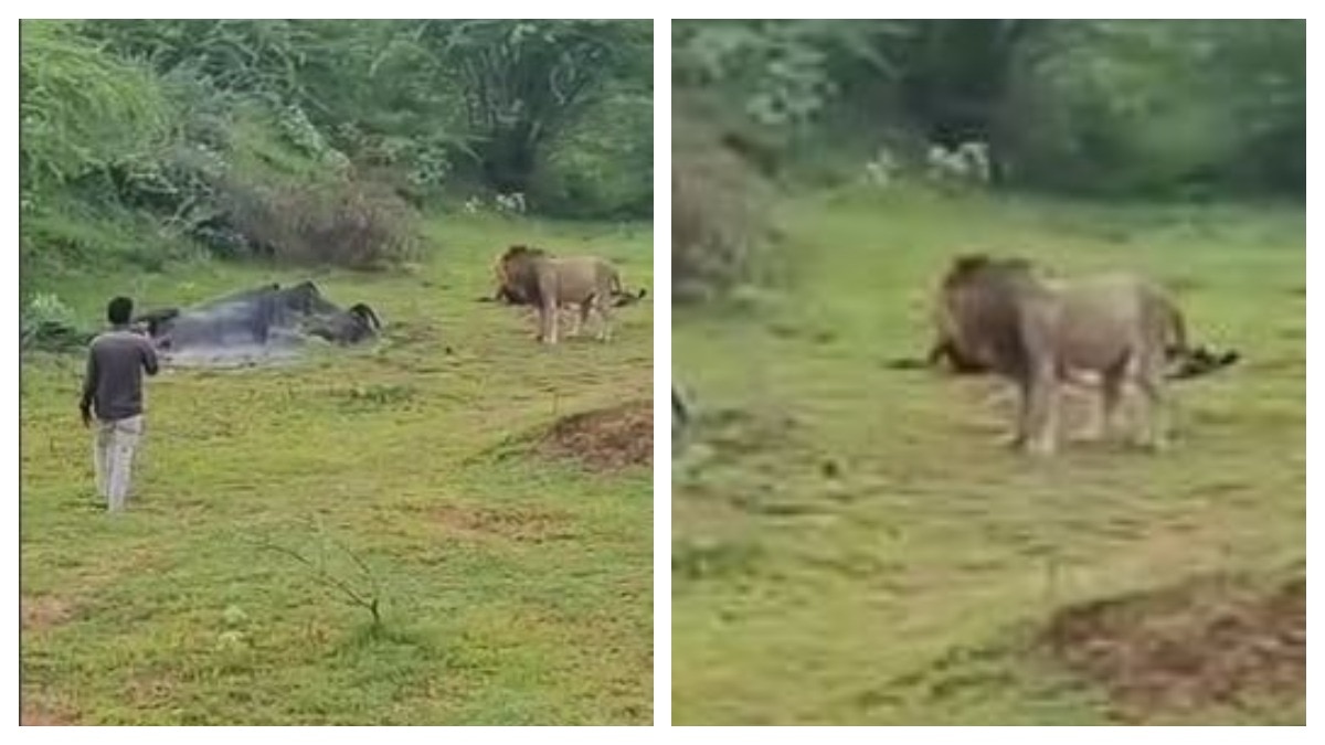 बाल-बाल बचा युवक (Photo: Screengrab)