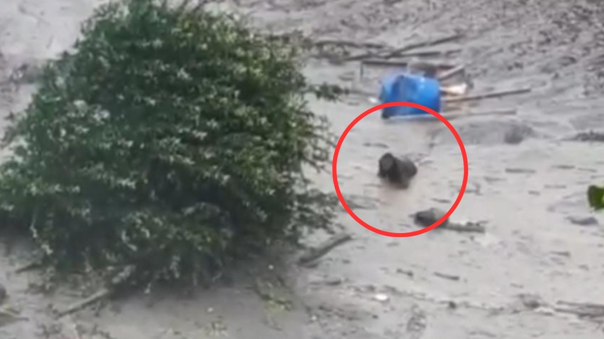 तबाही के बाद अपनी जान बचाने के लिए जद्दोजहद करता शख्स (Photo: ITG)