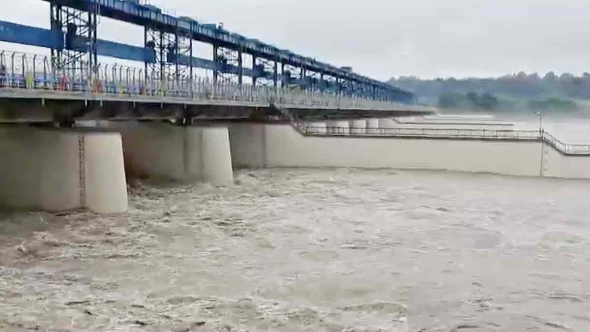  Ganga above the danger mark in Haridwar