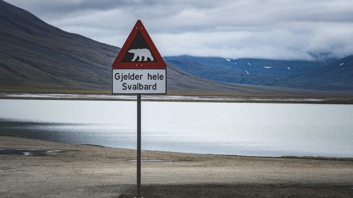 Sign board regarding danger of polar bear