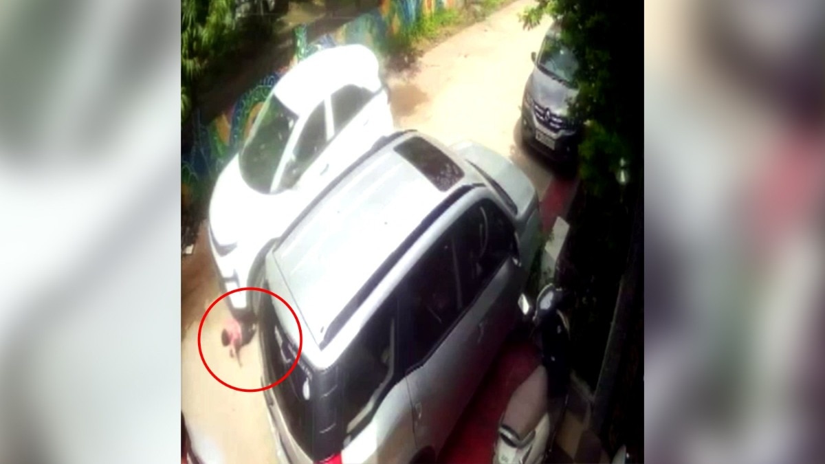 minor car driver hit a child