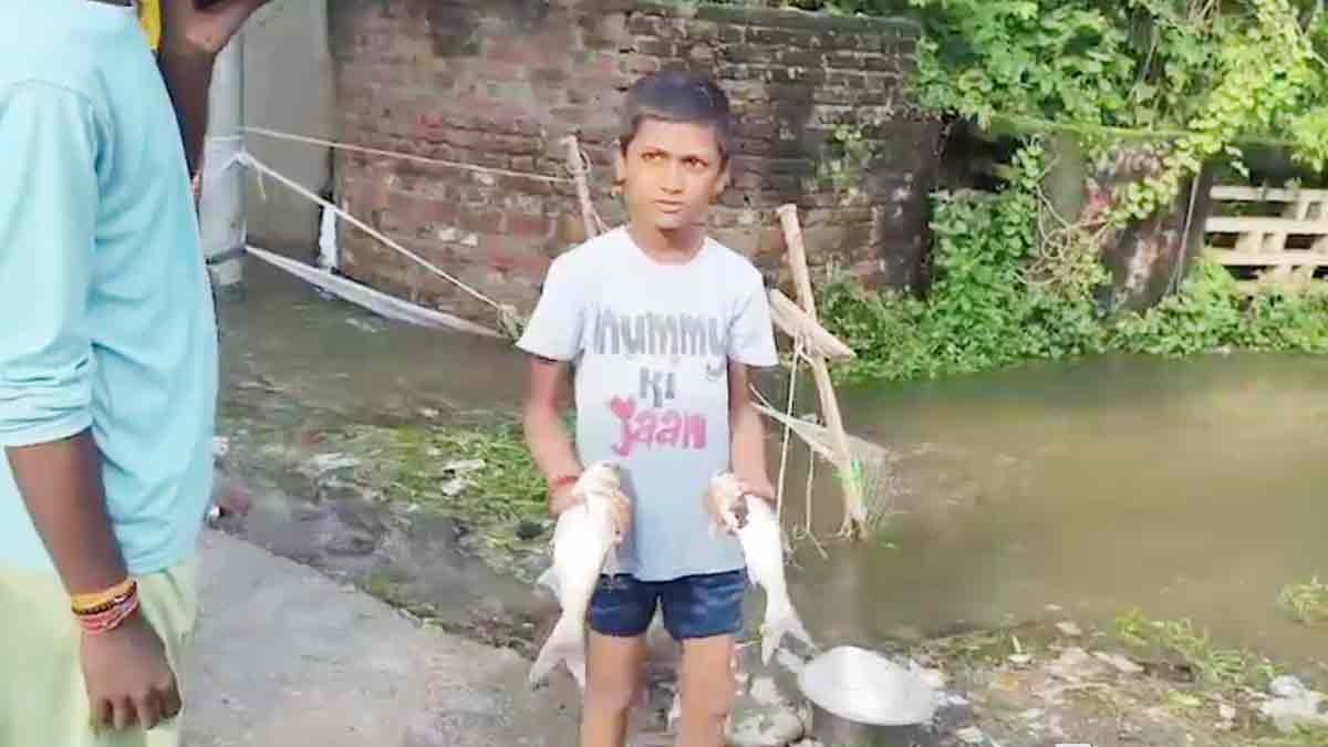  Bijnor fishes that came floating in the flood became a source of employment 