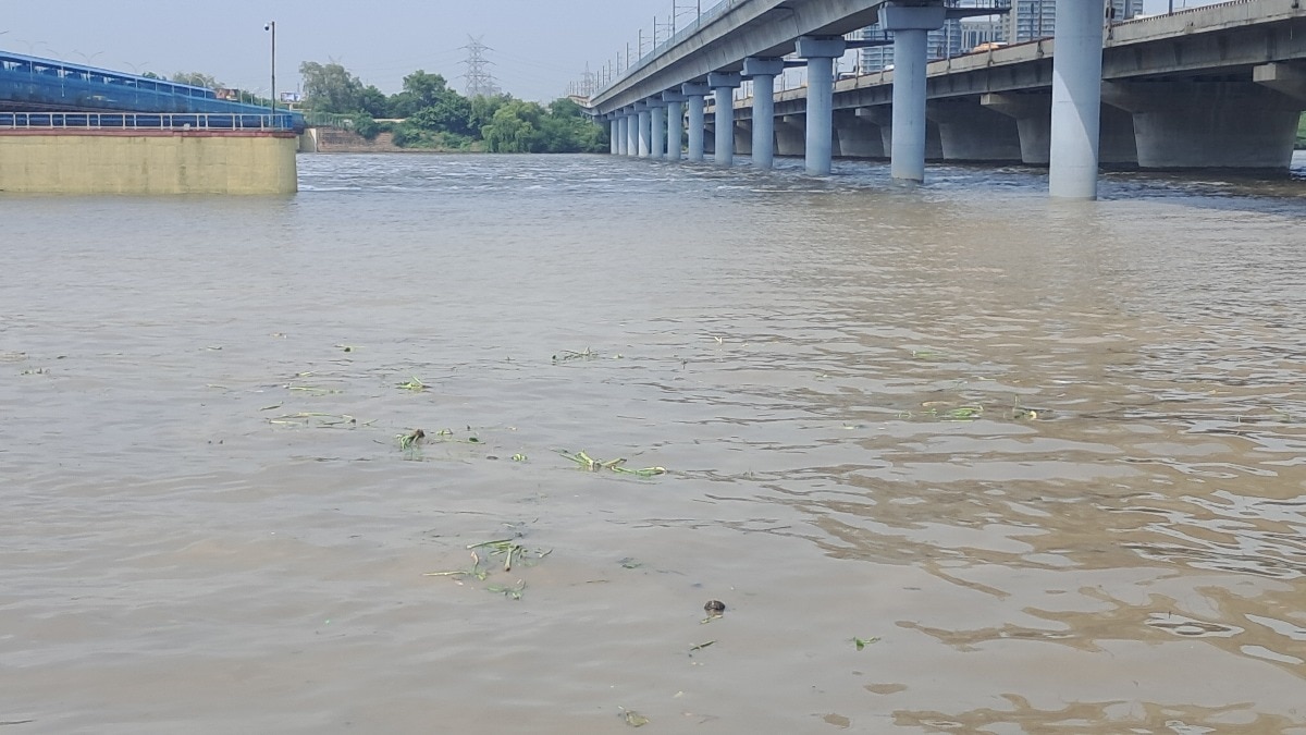 South East Delhi yamuna water