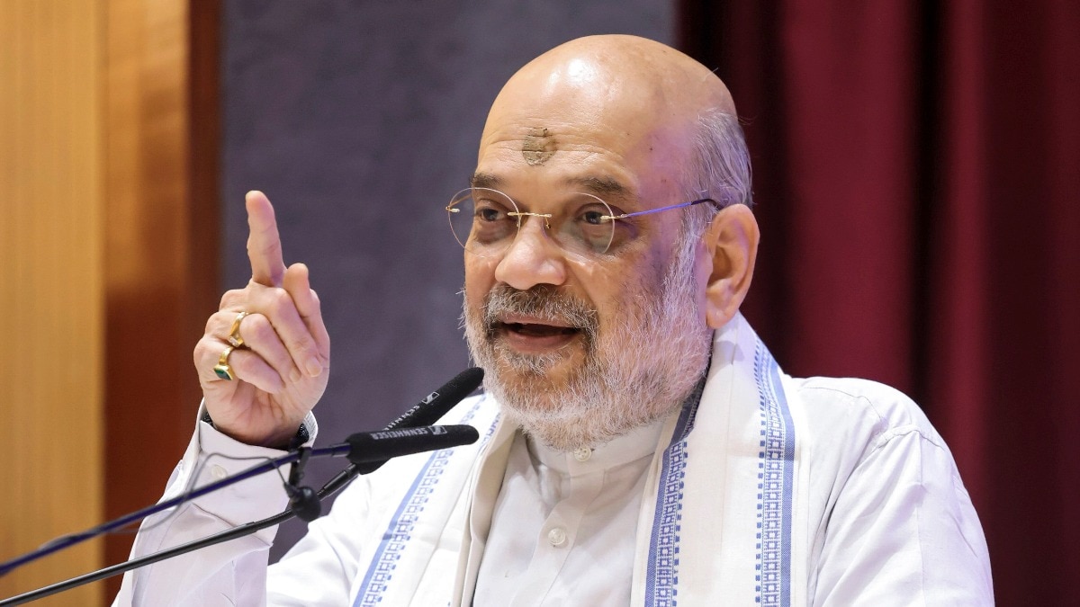 बिहार के सीतामढ़ी पहुंचे अमित शाह (Photo: PTI)