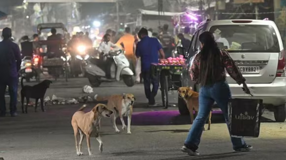 File photo shows a pedestrian wary of stray dogs in New Delhi
