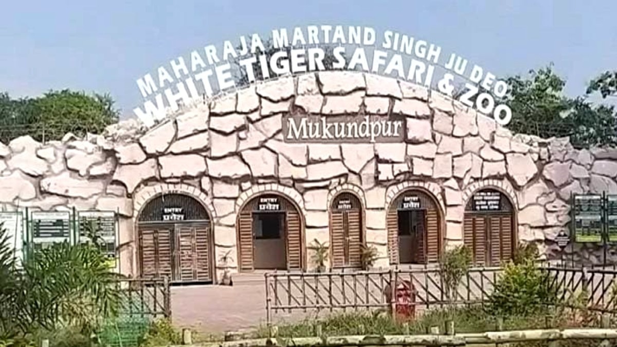 मुकुंदपुर व्हाइट टाइगर सफारी मैहर से अलग होगी! (File Photo)