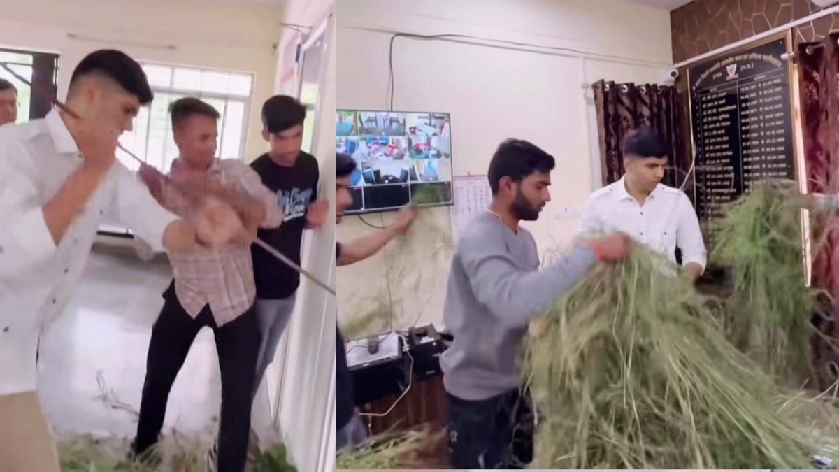 कैंपस में उगी गाजर घास के विरोध में NSUI