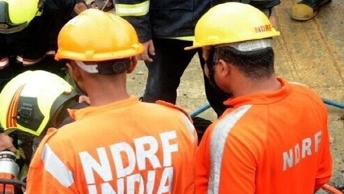 बाढ़ में बहे व्यक्ति ने पेड़ पर बैठकर बिताई रात. (Photo: Representational )