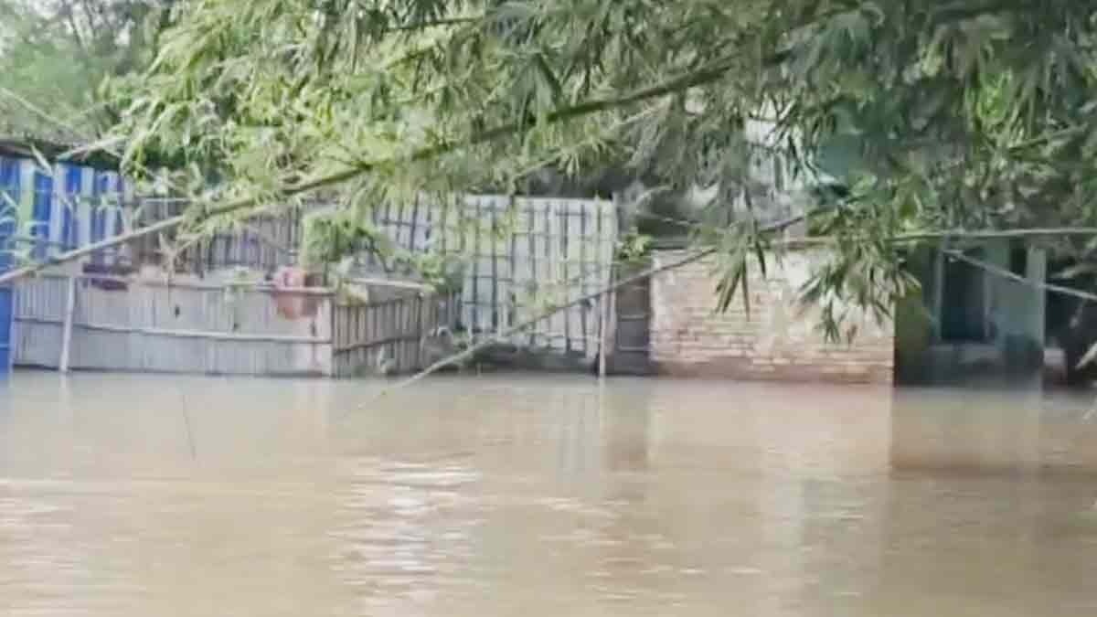 Flood in Katihar 