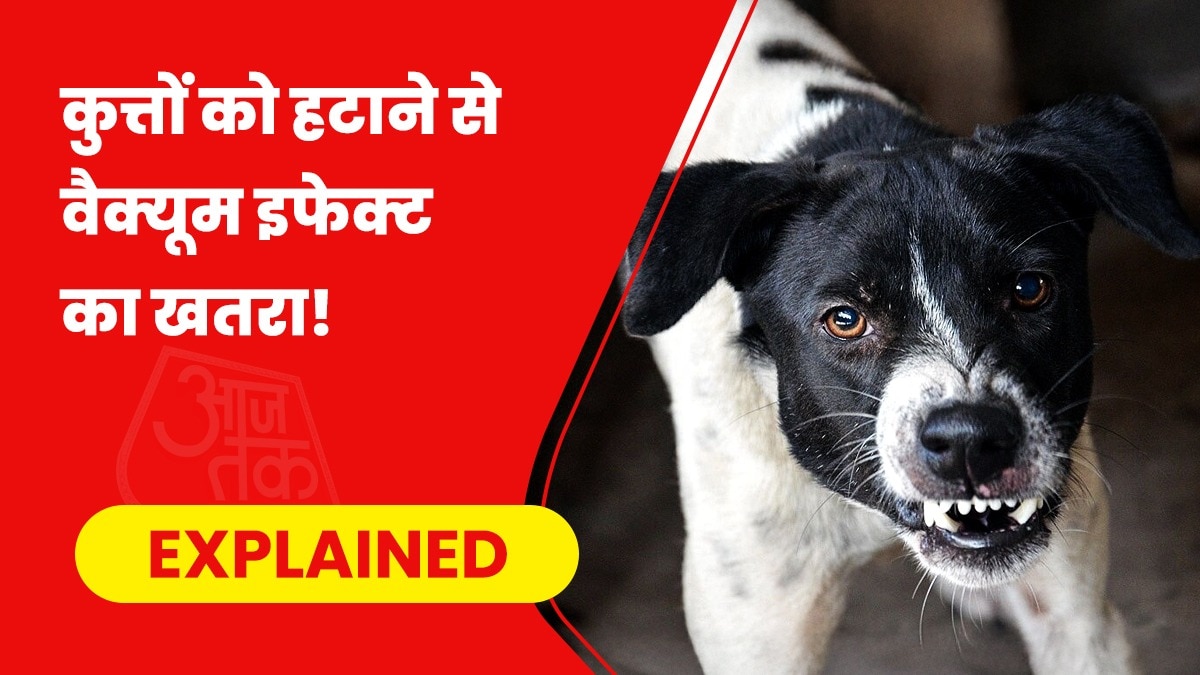 आवारा कुत्तों को हटाने से वैक्यूम इफेक्ट पैदा होगा, जिससे दिक्कत बढ़ जाएगी.