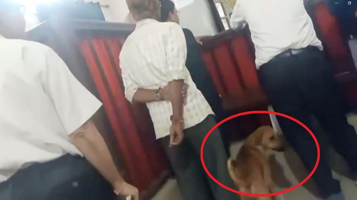 जब SDM कोर्ट में सुनवाई के दौरान पहुंचा कुत्ता.