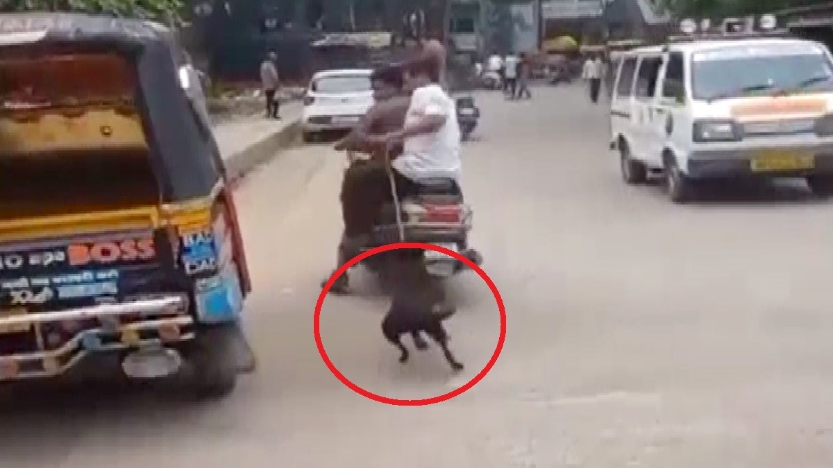 कुत्ते को रस्सी से बांधकर घसीटा.