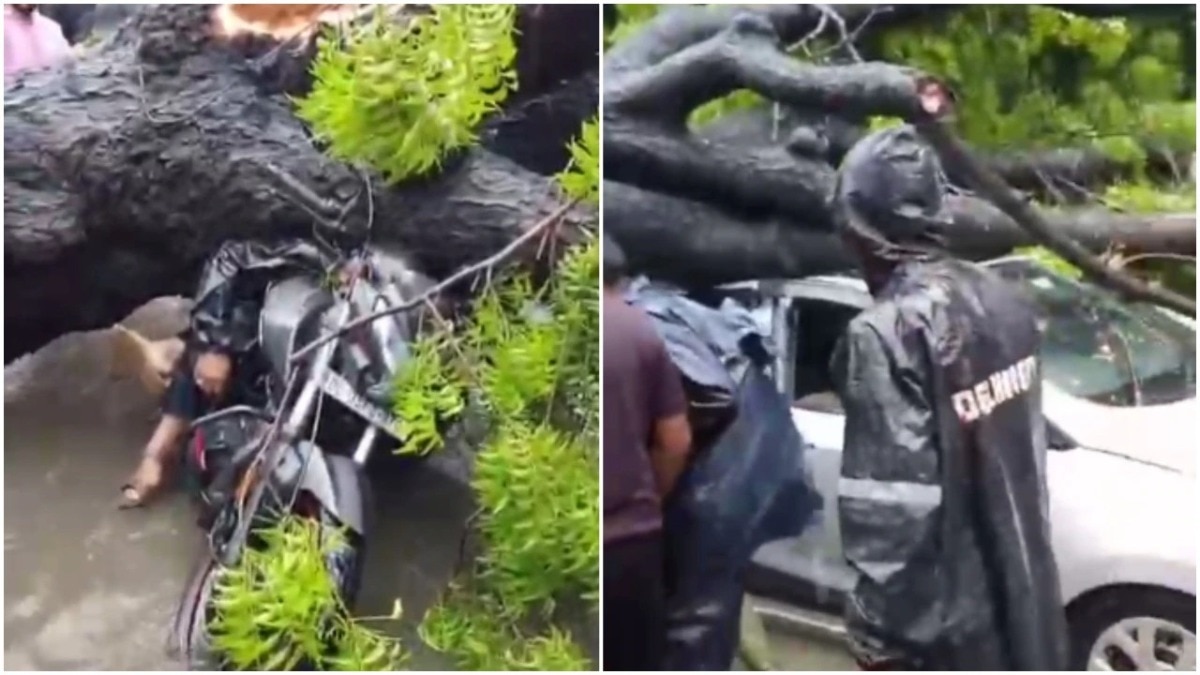 बारिश के बाद एक पेड़ गिरकर कार के ऊपर गिर गया (Photo: Screengrab)