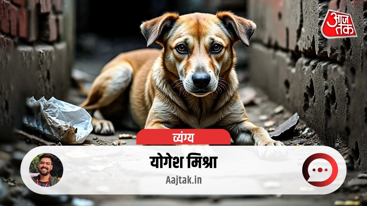 supreme court on Stray dogs