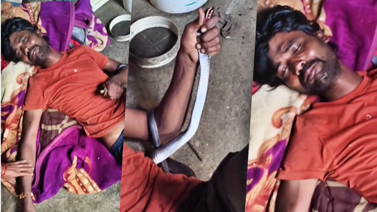 young man crushed the snake to death (Photo: screengrab)