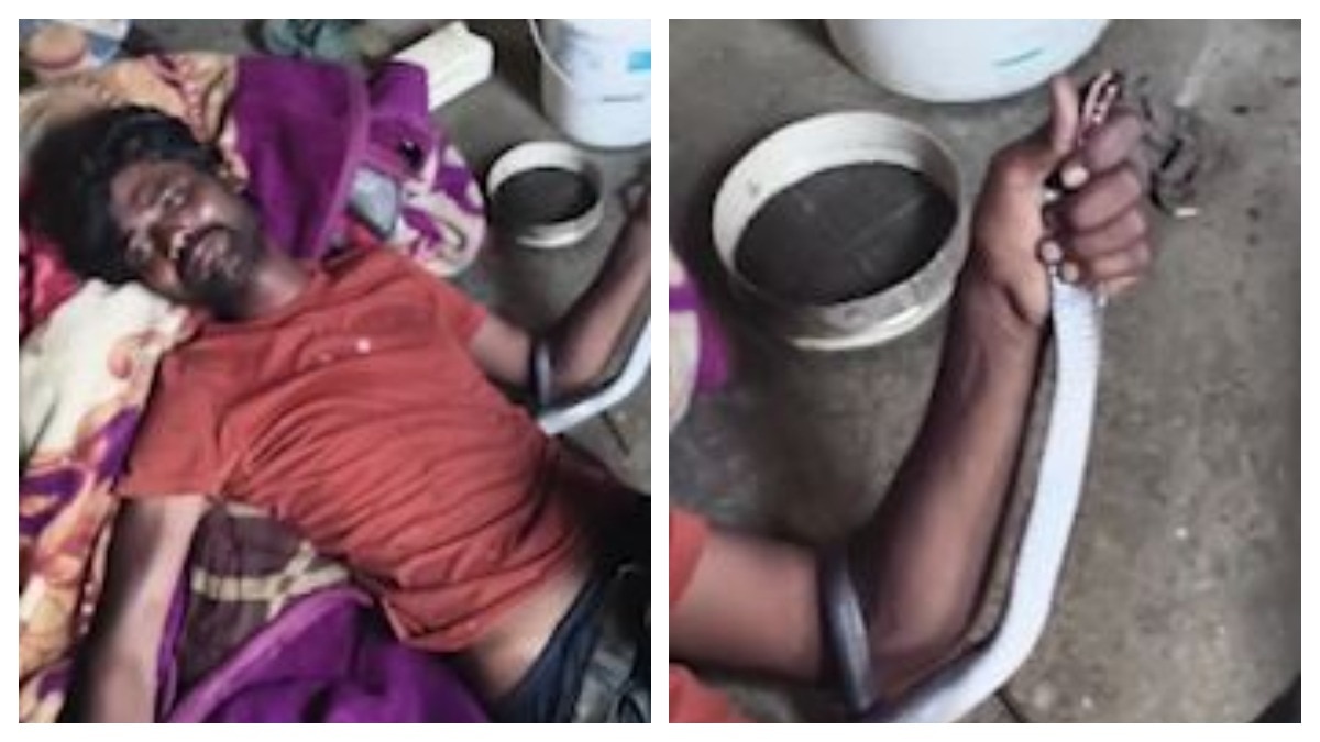 सांप के हमले में बाल-बाल बचा युवक (Photo: Screengrab)