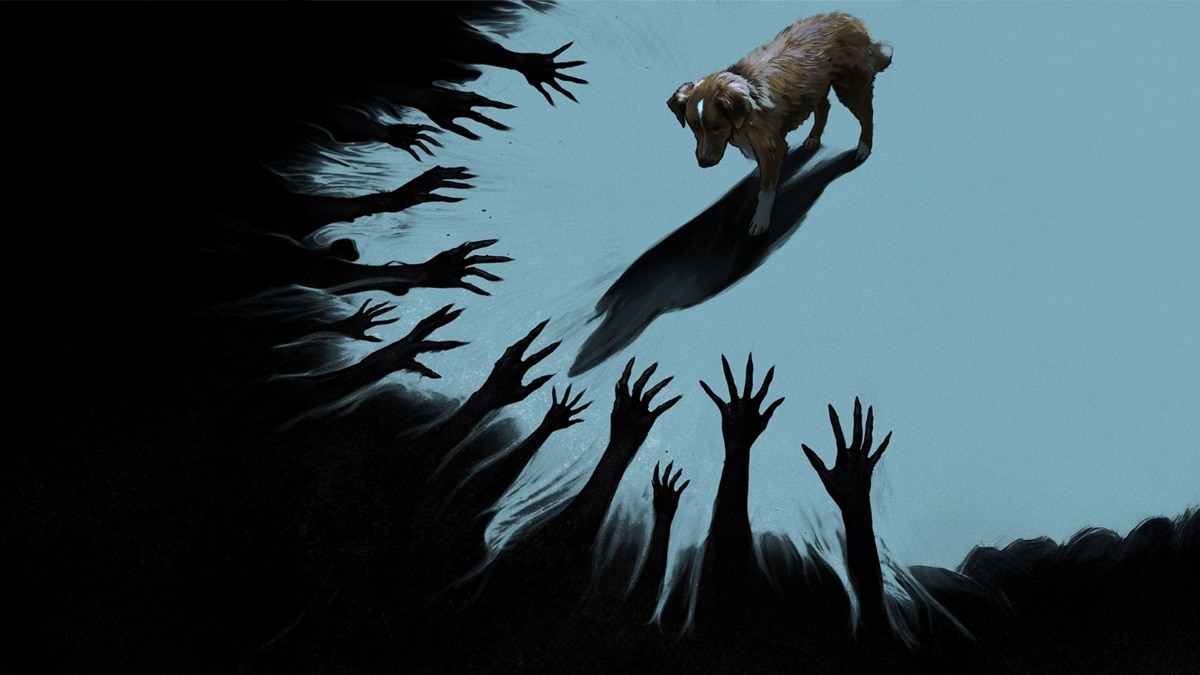 Horror Film Good Boy, Starring Indy the dog in lead winning over cinephiles