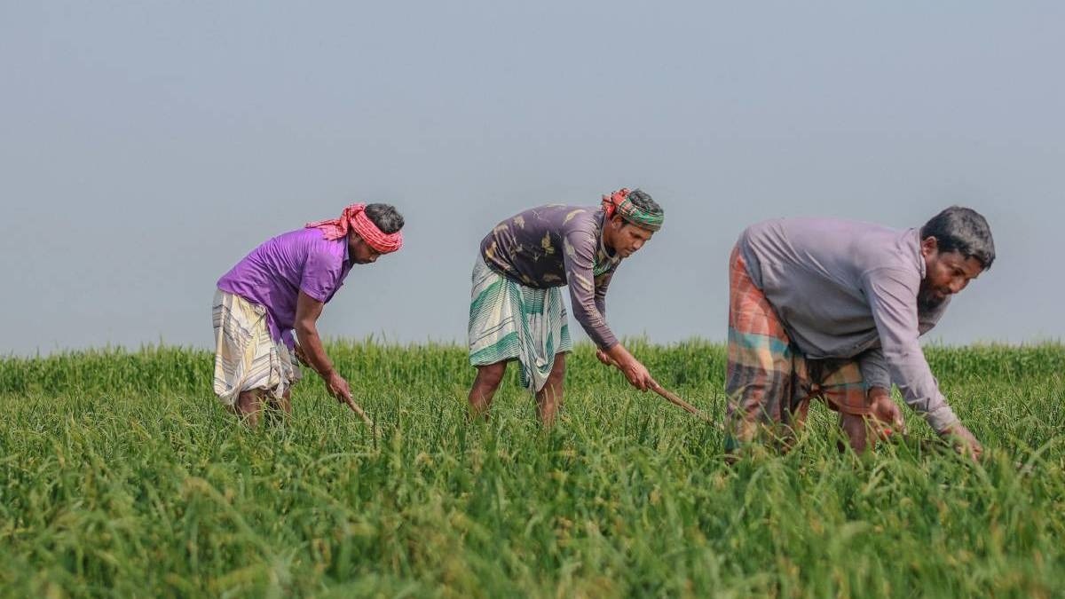 agromate advisory for farmers 