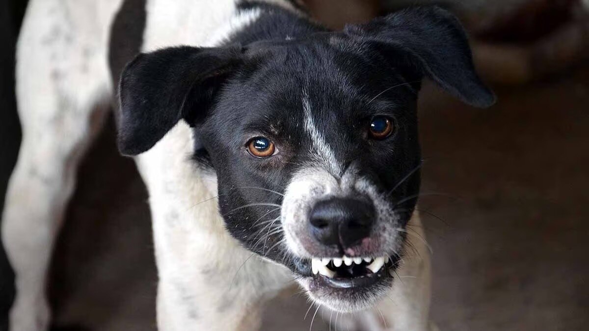 (Photo: Representational)