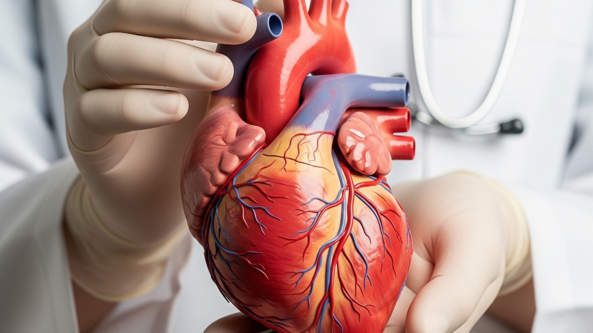 हृदय रोगों से कैसे बचाव करें (Photo: AI generated)