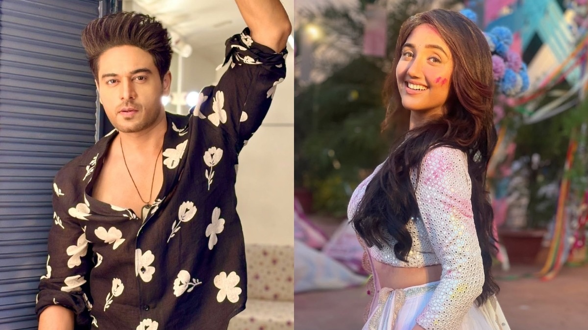 Bigg Boss 19 Confirmed List: गौरव खन्ना-अशनूर कौर की 'बिग बॉस 19' में एंट्री पक्की, चौंका देंगे कई नाम