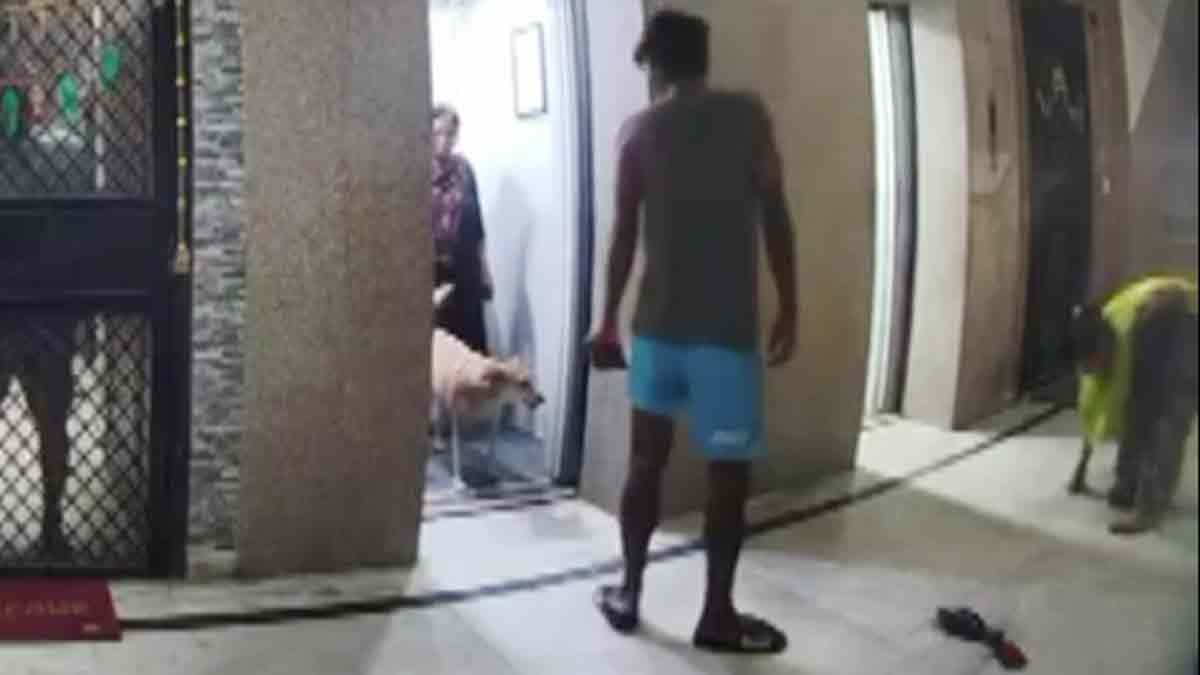 Pet dog wreaks havoc in Ghaziabad's Indirapuram dog bit the society maid