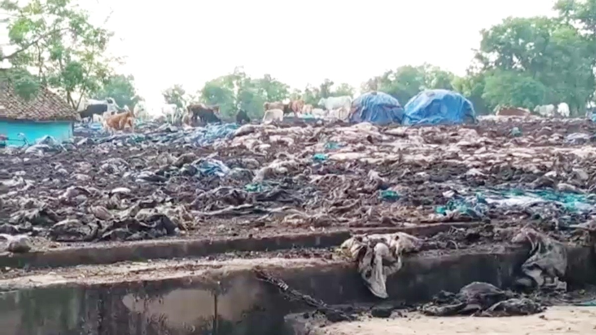 खुले में सड़ रहा अनाज.(Photo: Screengrab)