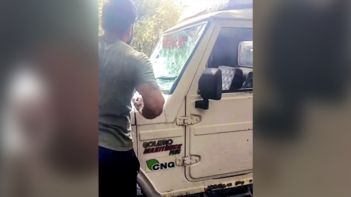 MCD stray dog catchers attacked