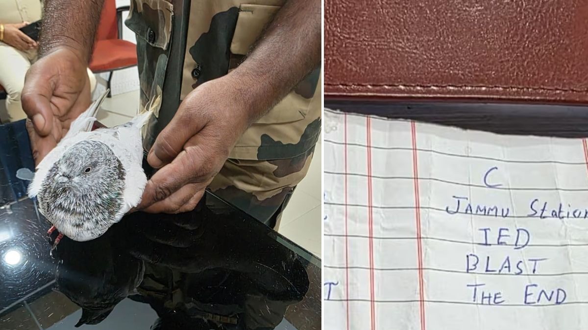 कबूतर के पैर में बंधी पर्ची में दी गई थी धमकी (Photo:ITG)