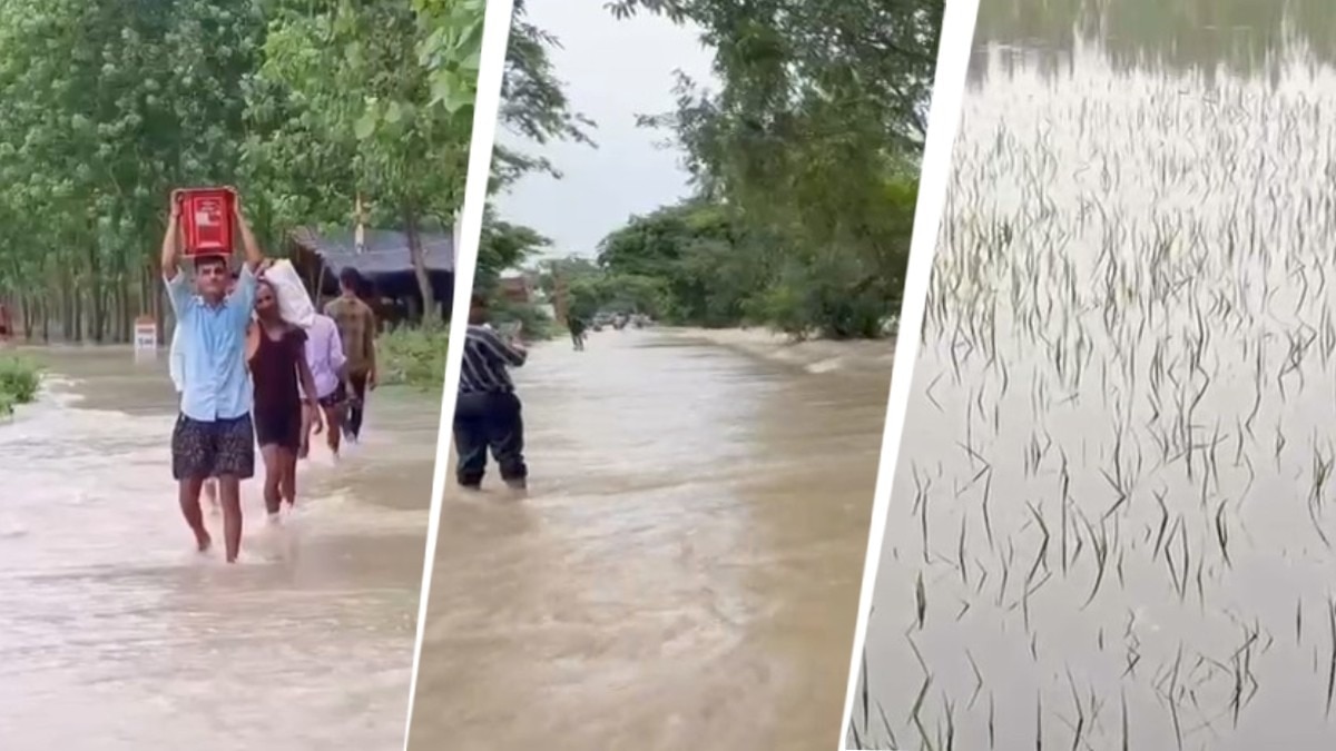 Assessment of damage to crops Flood