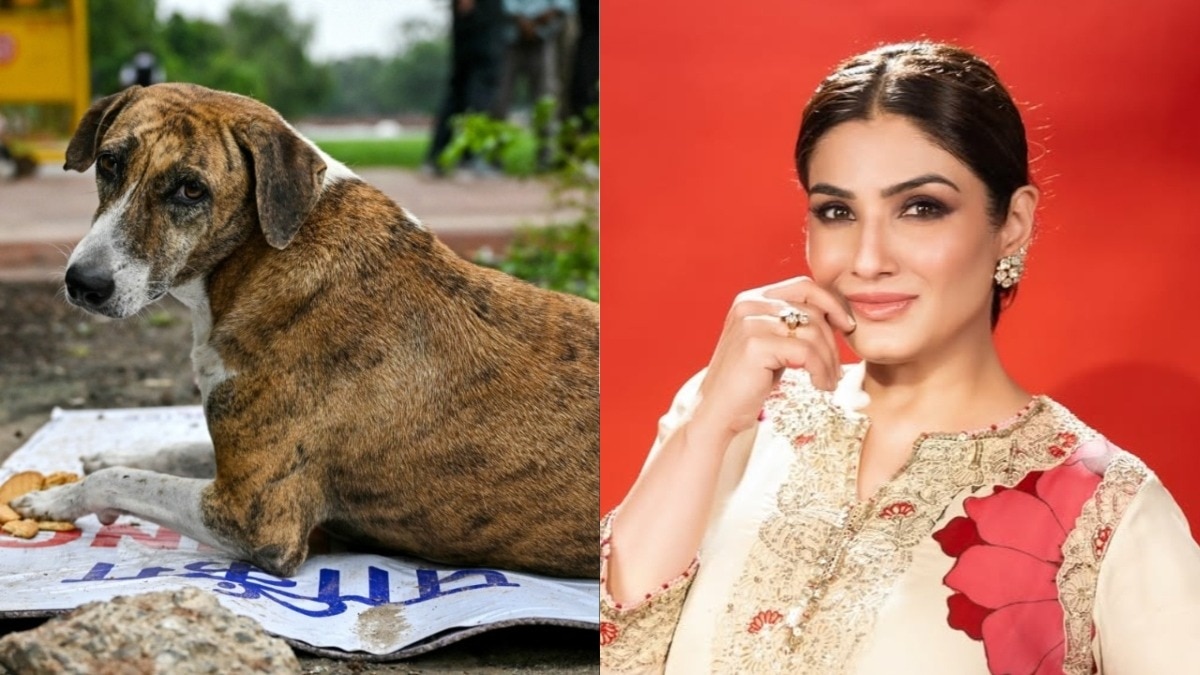 raveena tandon reaction to the SC decision on stray dogs