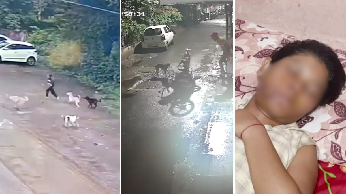 तीन राज्यों में आवारा कुत्तों के हमले के खौफनाक वीडियो. (Photo: Screengrab)