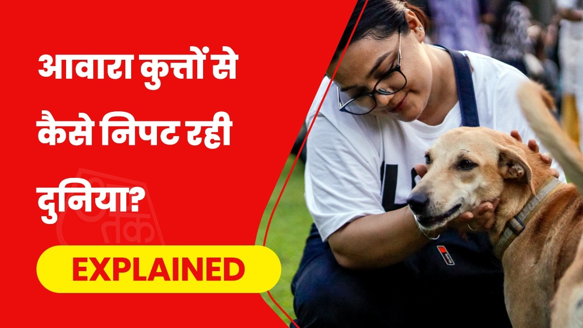 An animal lover with stray dog in New Delhi (Photo: PTI)