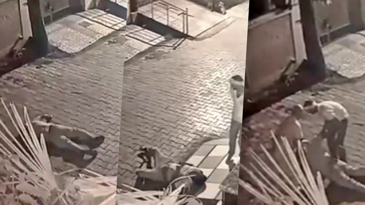 सीसीटीवी में ड्राइवर की मौत कैद (Photo: screengrab)
